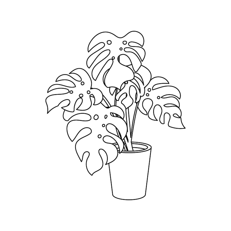 Vector ingemaakte monstera eenvoudige lineaire pictogram