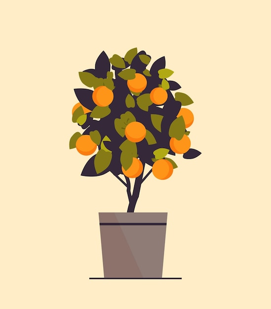 ingemaakte oranje plant groeit fruitboom in pot vectorillustratie