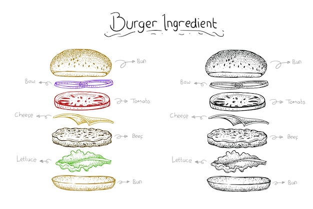 Vettore l'illustrazione dell'hamburger dell'ingrediente. stile disegnato a mano di vettore