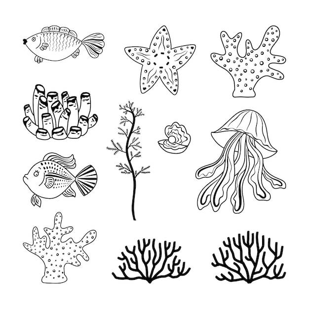Abitanti del mondo sottomarino in contorno coralli pesci alghe stelle marine meduse conchiglia con perla elementi di design vettore
