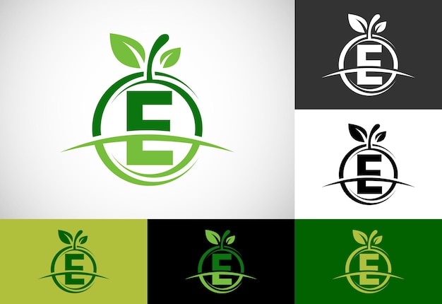 추상 사과 로고가 있는 초기 E 모노그램 알파벳 건강 식품 로고 디자인 벡터