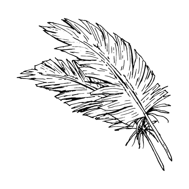 柔らかいわずかに磨かれた質感を持つ2つの鳥の羽のインクラインの絵画 スタイリッシュな黒と白