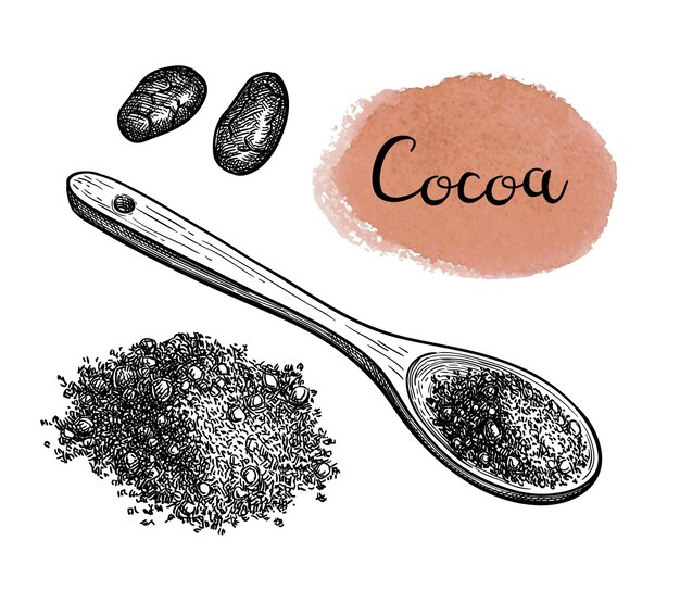 Vettore schizzo di cacao in polvere