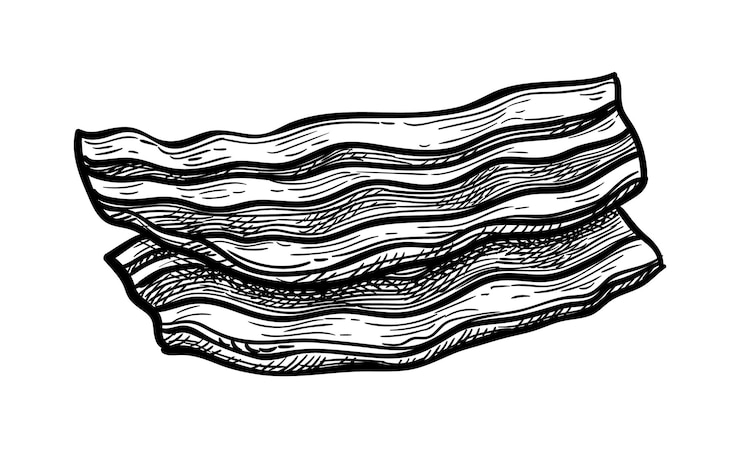 Vector ink sketch of fried bacon