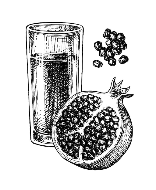 Vector ink sketch of pomegranate juice