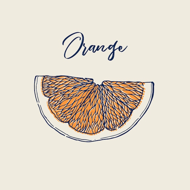 Inkt hand getekend van oranje fruit Voedsel element collectie Vintage schets Vectorillustratie