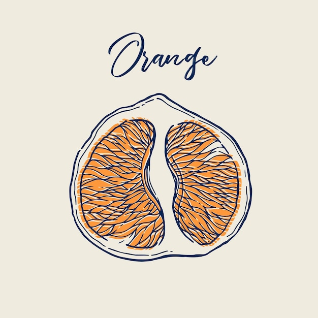 Inkt hand getekend van oranje fruit Voedsel element collectie Vintage schets Vectorillustratie