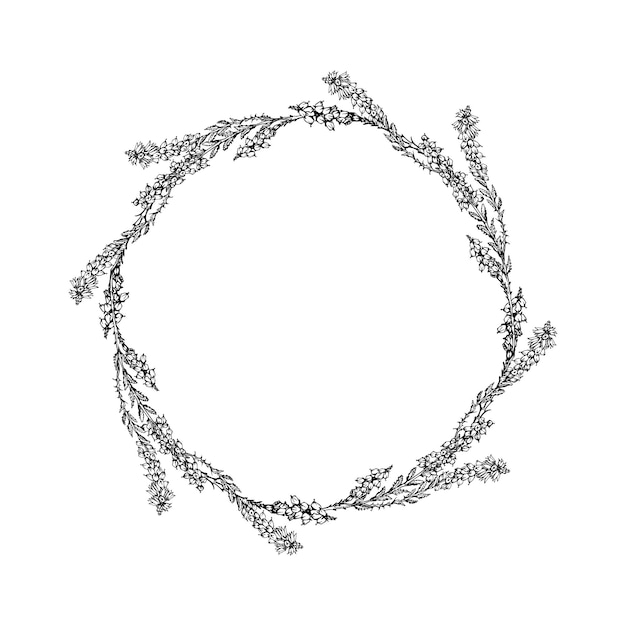 Inkt hand getekend vector grafische schets illustratie Bloem cirkel krans van heide takken met toppen