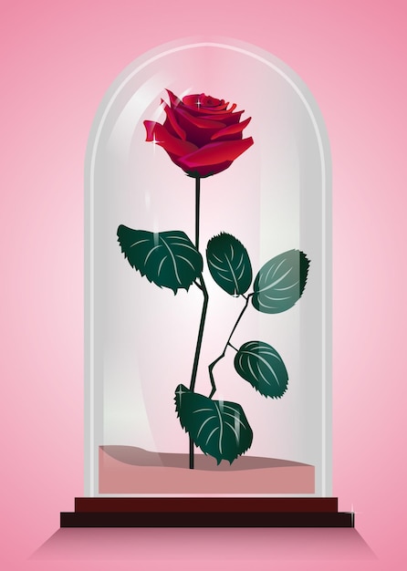 Inmortalized rose vector illustration