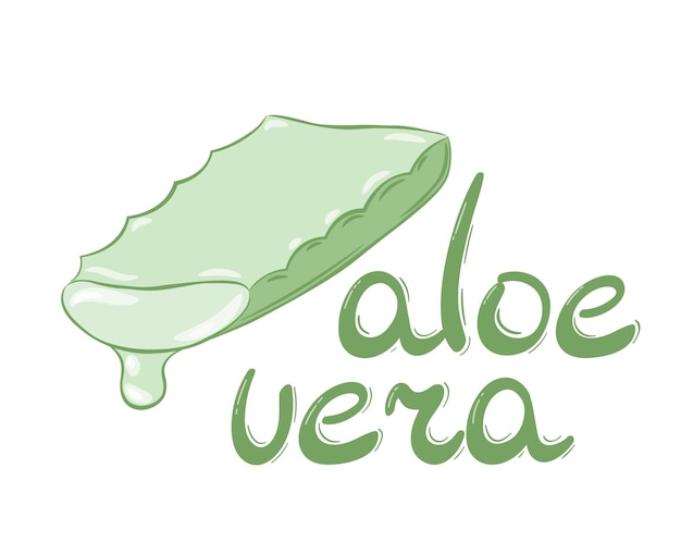 碑文「アロエベラ」。ハイライト付きの緑色の手描きのテキスト。アロエの茎の手作り。