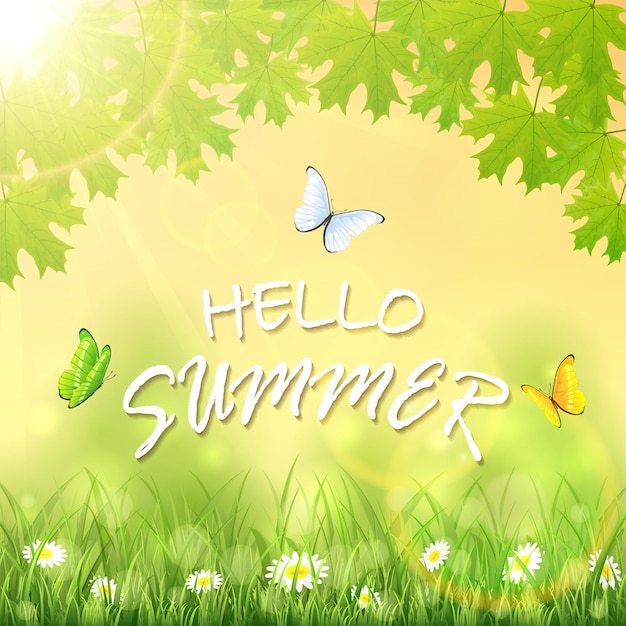 Надпись Hello Summer на фоне природы с цветами в траве, кленовыми листьями, сияющими солнцем и иллюстрацией летающих бабочек