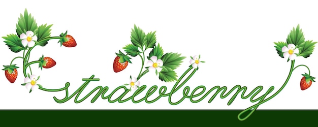 The inscription strawberry of leaves and berries in horizontal format on a white background.