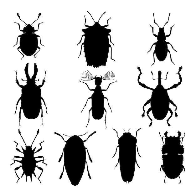 Vector insect animal silhouettes