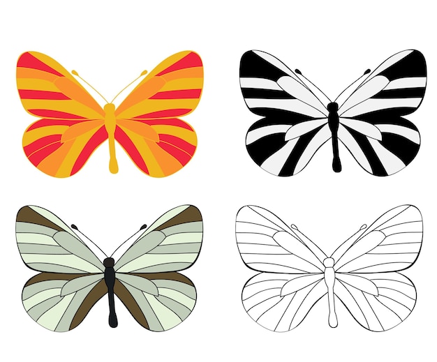 Insect butterfly set