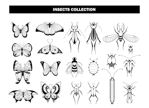Вектор Коллекция насекомых жук-бабочка стрекоза черные силуэты насекомых весна лето летающие животные садовые вредители векторный набор