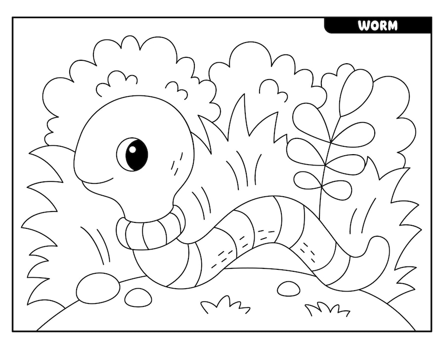 Premium Vector | Insect coloring pages for kids