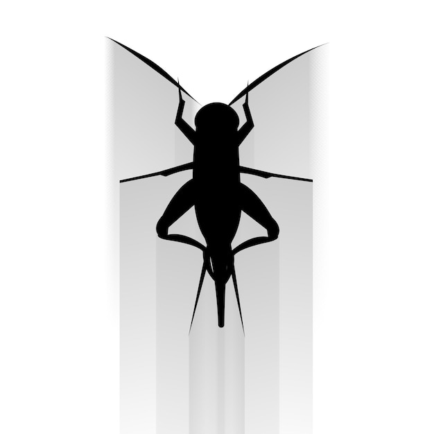 Insect flat icon  vector