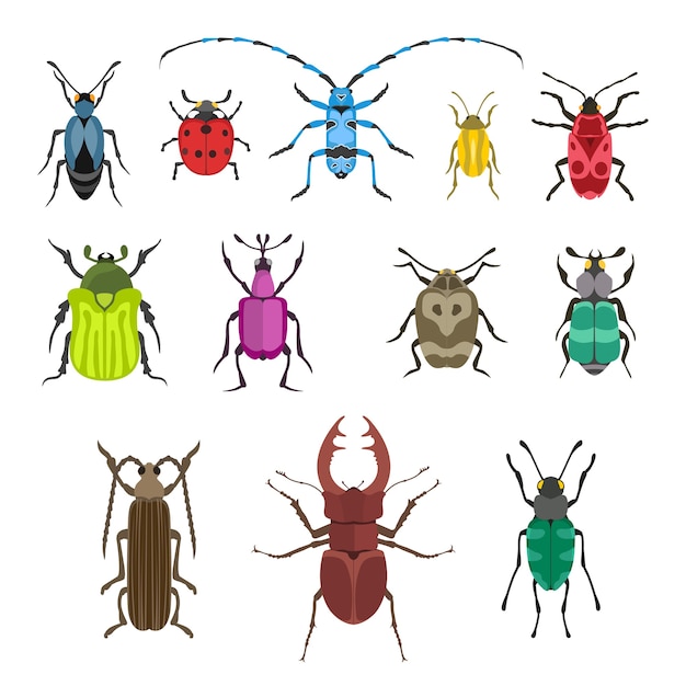 Insect icon    illustration.