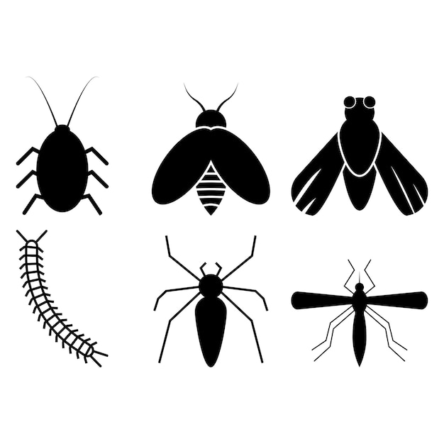 Insect icon vector