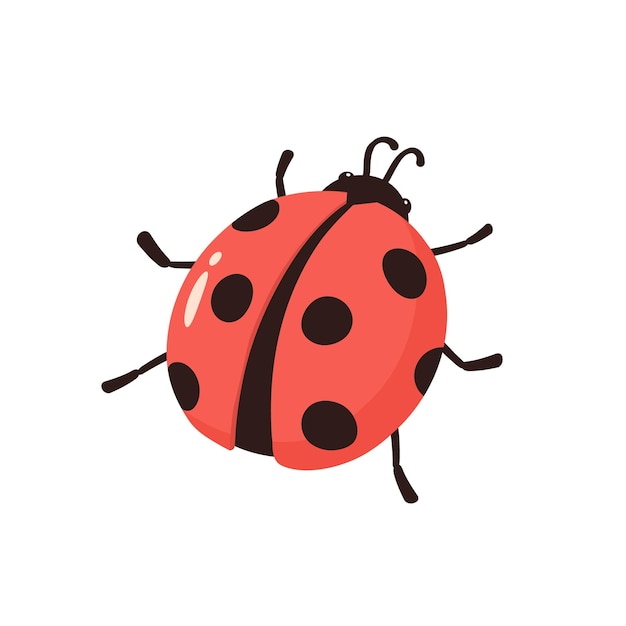 Vector insect. lieveheersbeestje op een witte achtergrond. vector illustratie.