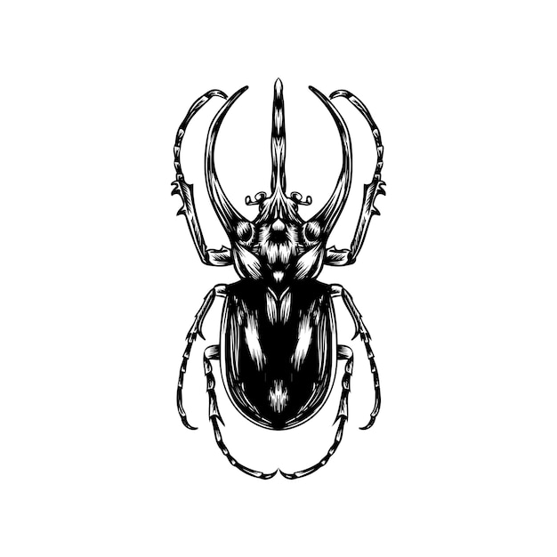 Vector insect line art vintage design