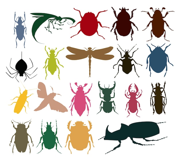 Vector insect pictogram