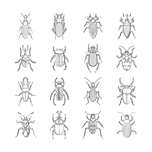 Insect platte vector iconen bug en tuin concept vector set van schattige cartoon insecten verschillende kever