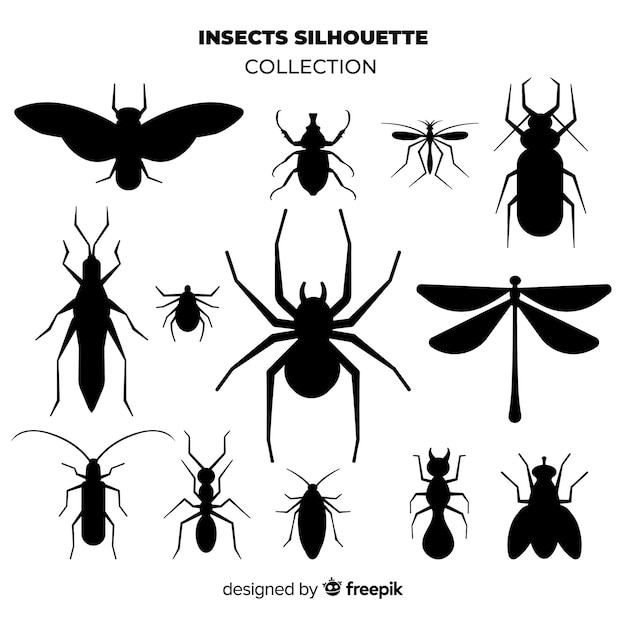 Insect silhouet collectie