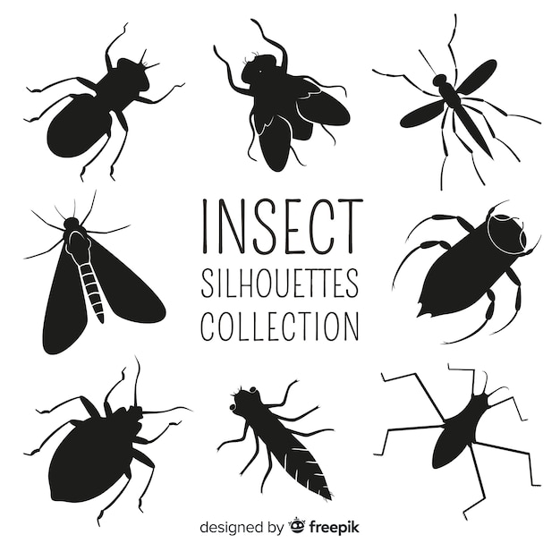 Insect silhouet collectie