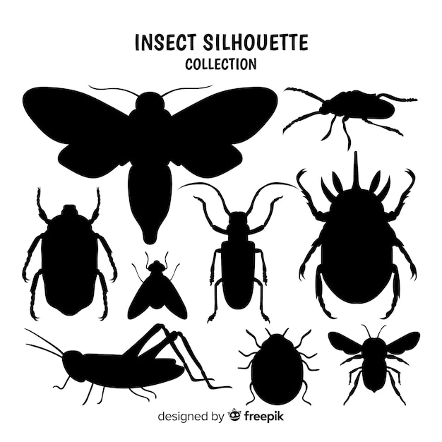 Collezione silhouette di insetti