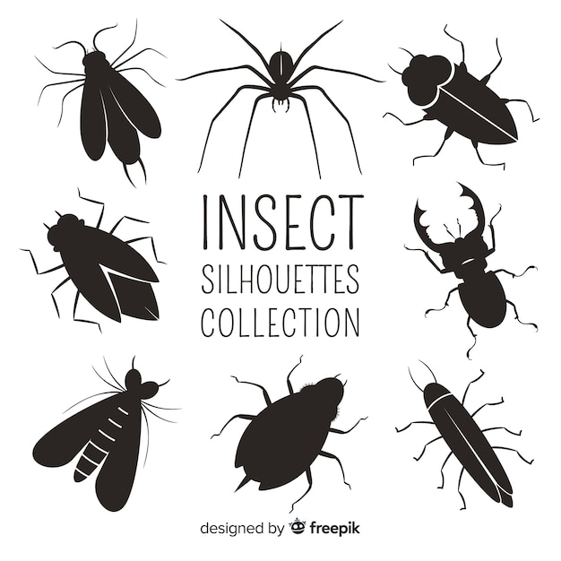 Collezione silhouette di insetti