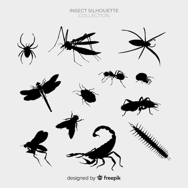 Vector insect silhouette pack