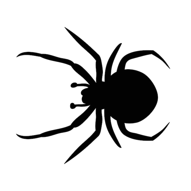 Insect spider silhouette