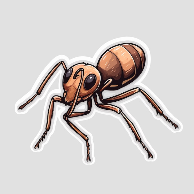 insect termite ant illustration