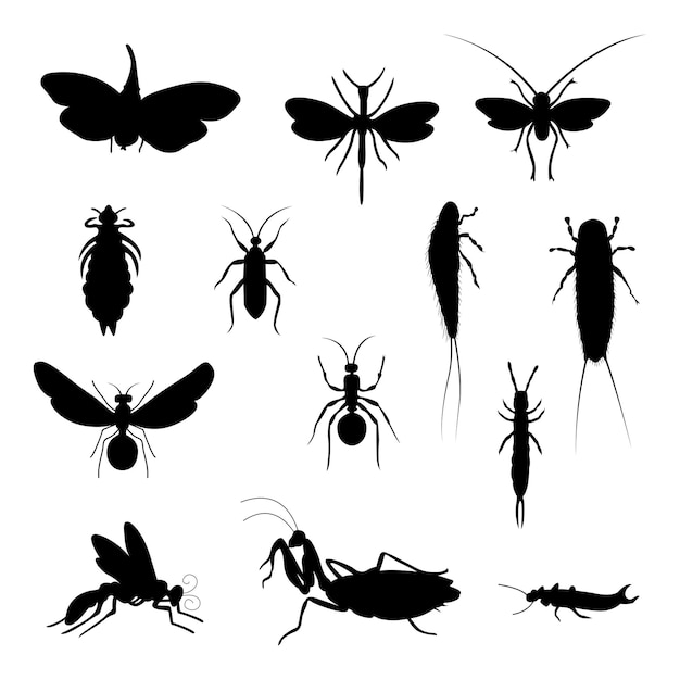 Vector insect vector silhouet op witte achtergrond