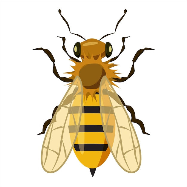 Insecten bee pictogram in cartoon stijl geïsoleerd op een witte achtergrond Fauna symbool vectorillustratie