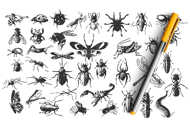 Insecten doodle set