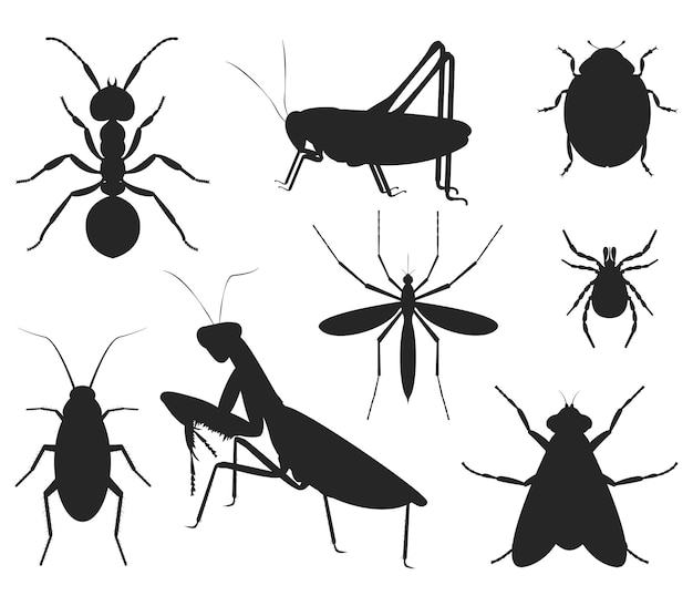 Insecten grote set mier sprinkhaan Lieveheersbeestje mug kakkerlak geïsoleerd Vector silhouetten