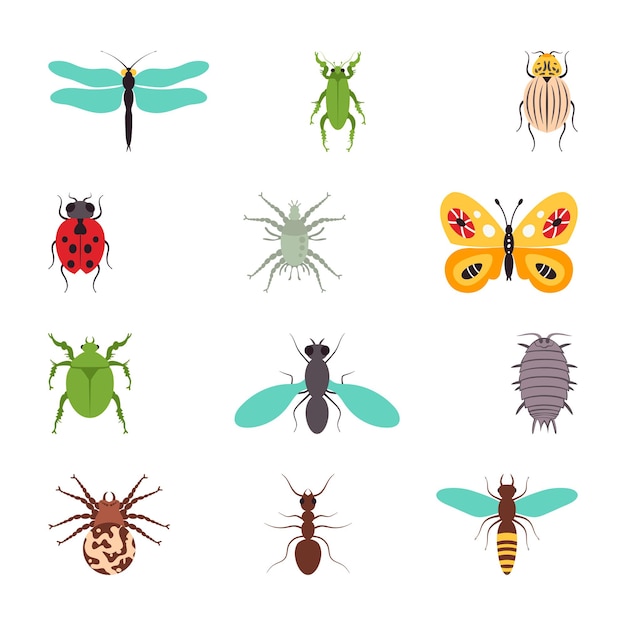 Vector insecten pictogrammen platte set geïsoleerde illustratie.