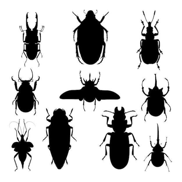 Insecten silhouetten