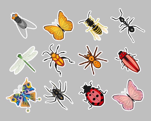 Vector insectenstickerset, vlinder, mier, libel, wesp, lieveheersbeestje, kever, spin. zoölogische iconen