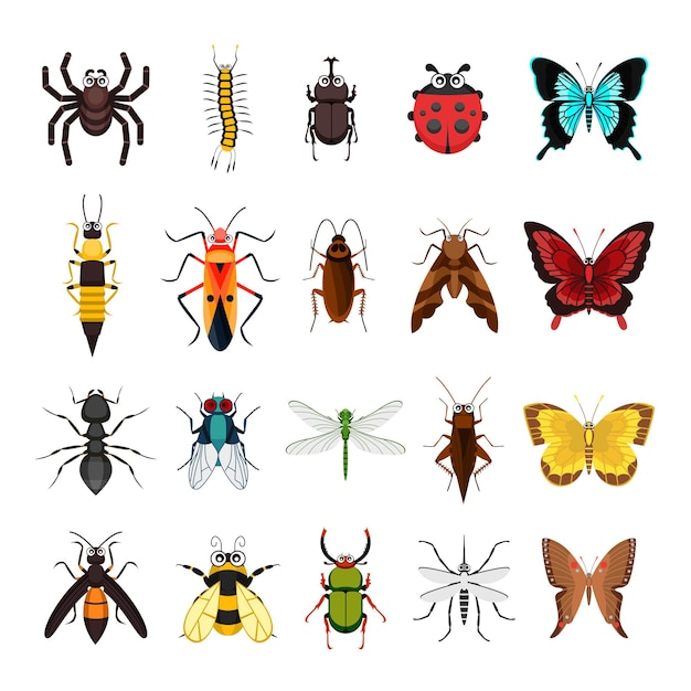 Vector insects animal collection isolated on white