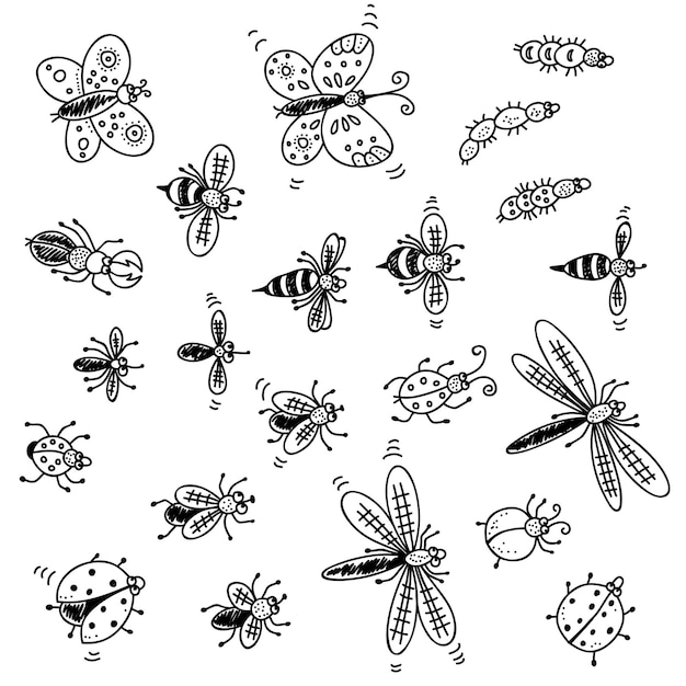 Vector insects doodle set vector collection isolated