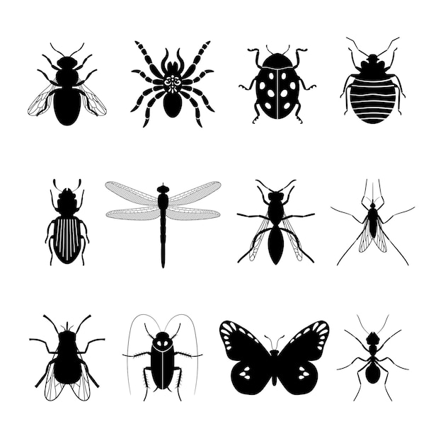 Insects icons. Insect   silhouettes  