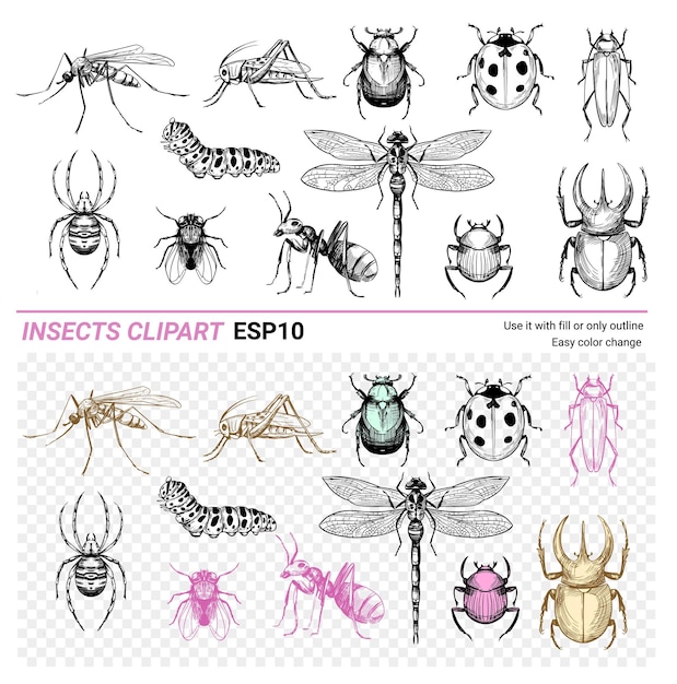 Insects set Hand drawn sketch vector illustration Beetles dragonfly spider