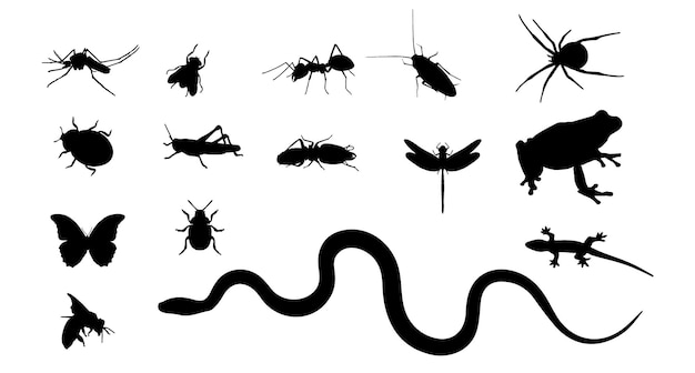 Vector insects silhouette vector