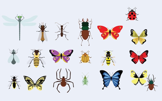 Insects Vector Art Illustration