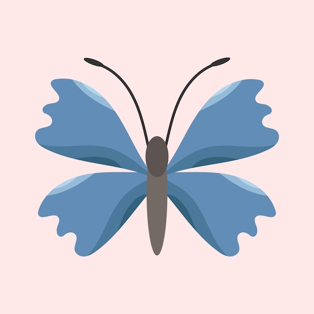 Insects vector butterfly isolated illustration