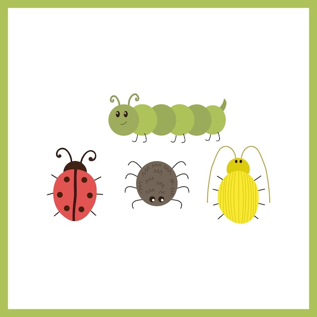 Insects vector