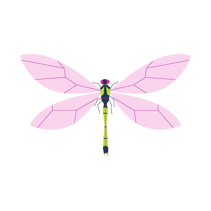Vector insects